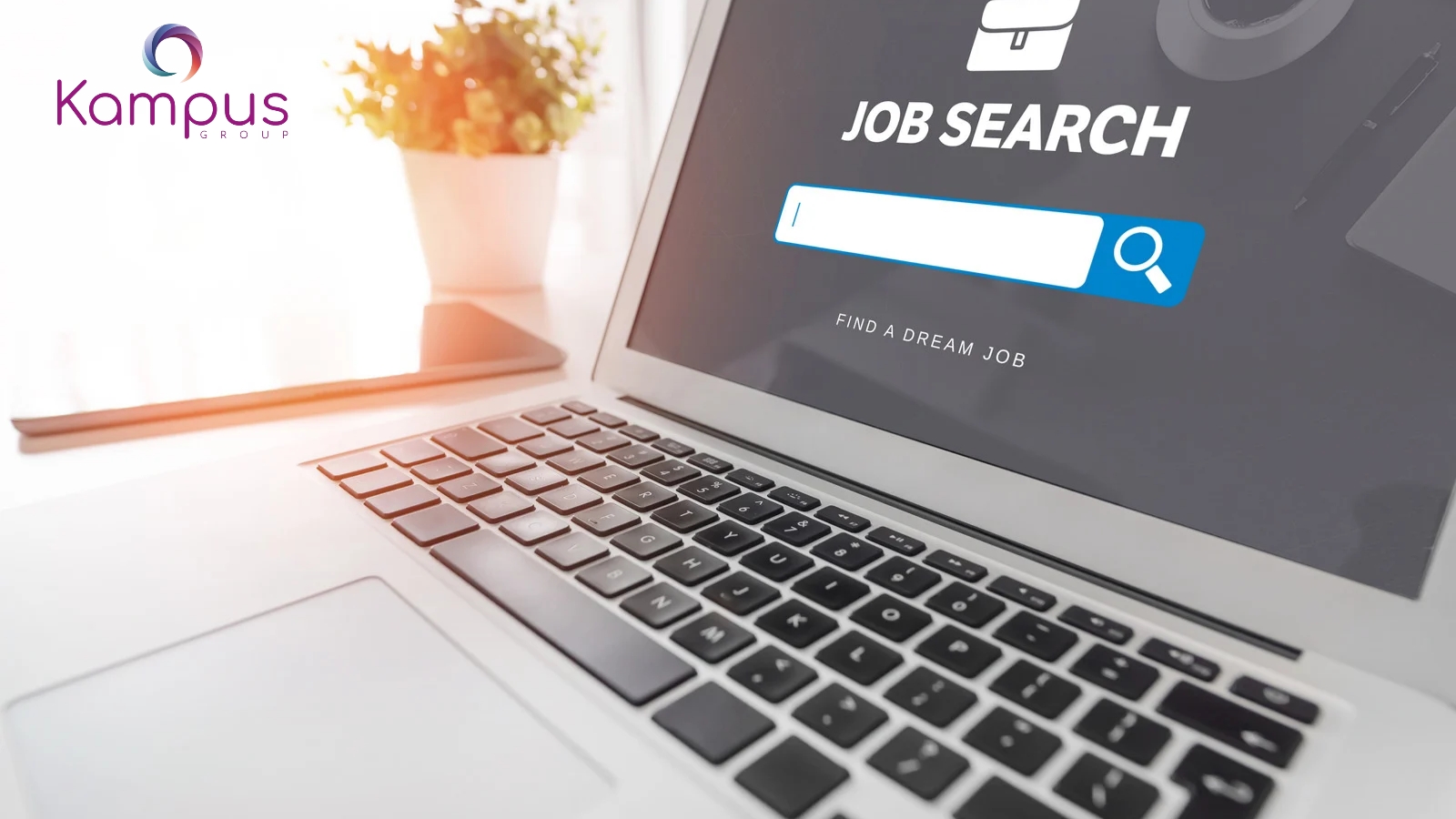 How to Land Your First Graduate Job Abroad With No Experience